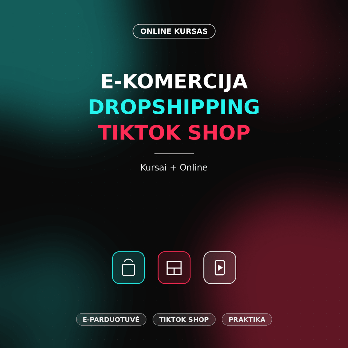 E-Komercija / Dropshipping / TikTok Shop kursai + Online - NePakeičiamas